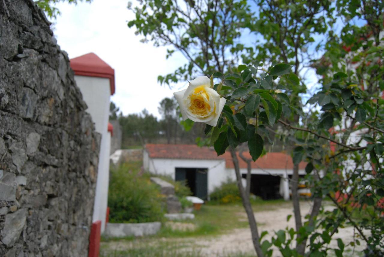 Prédio na Amêndoa Amendoa Exterior foto